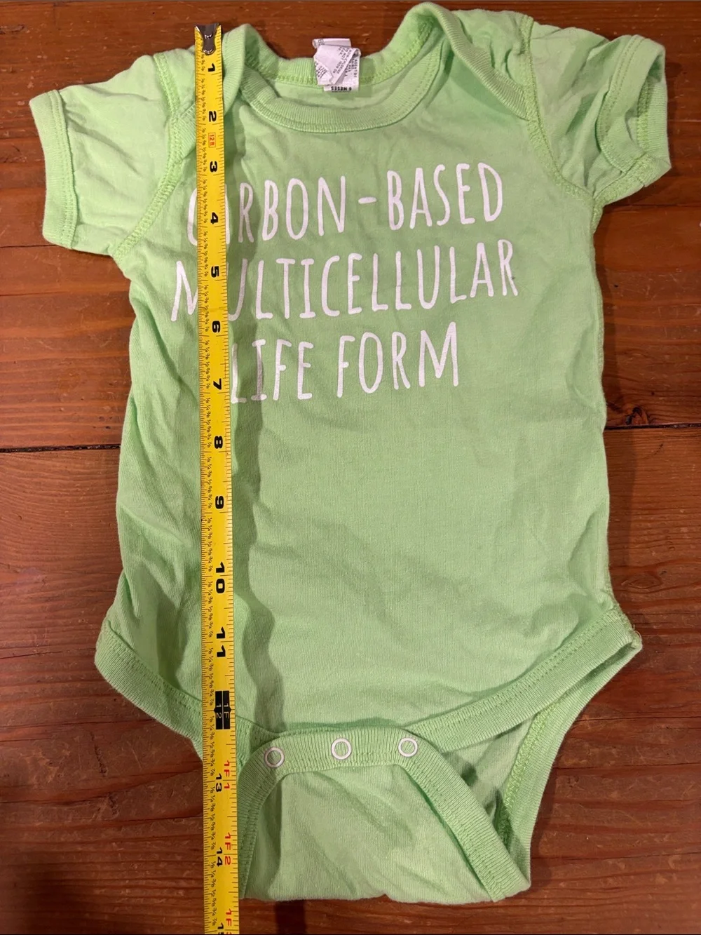 EUC Light Green biology baby onesie size 6 months